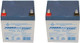 Power-Sonic PS-1250F1 12V 5Ah F1 AGM Rechargeable Battery - 2 Pack