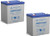 Power-Sonic PS-1250F1 12V 5Ah F1 AGM Rechargeable Battery - 2 Pack